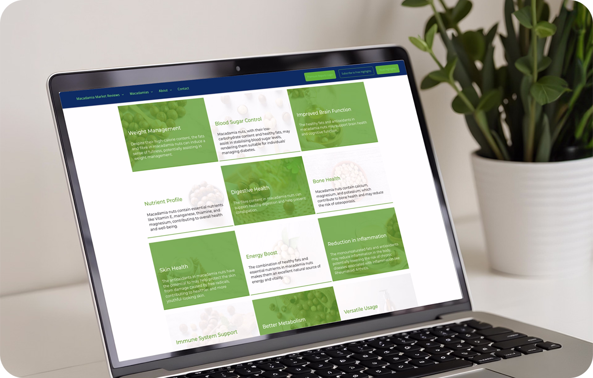An informational web page on the MSM platform highlighting the nutritional benefits of macadamia nuts
