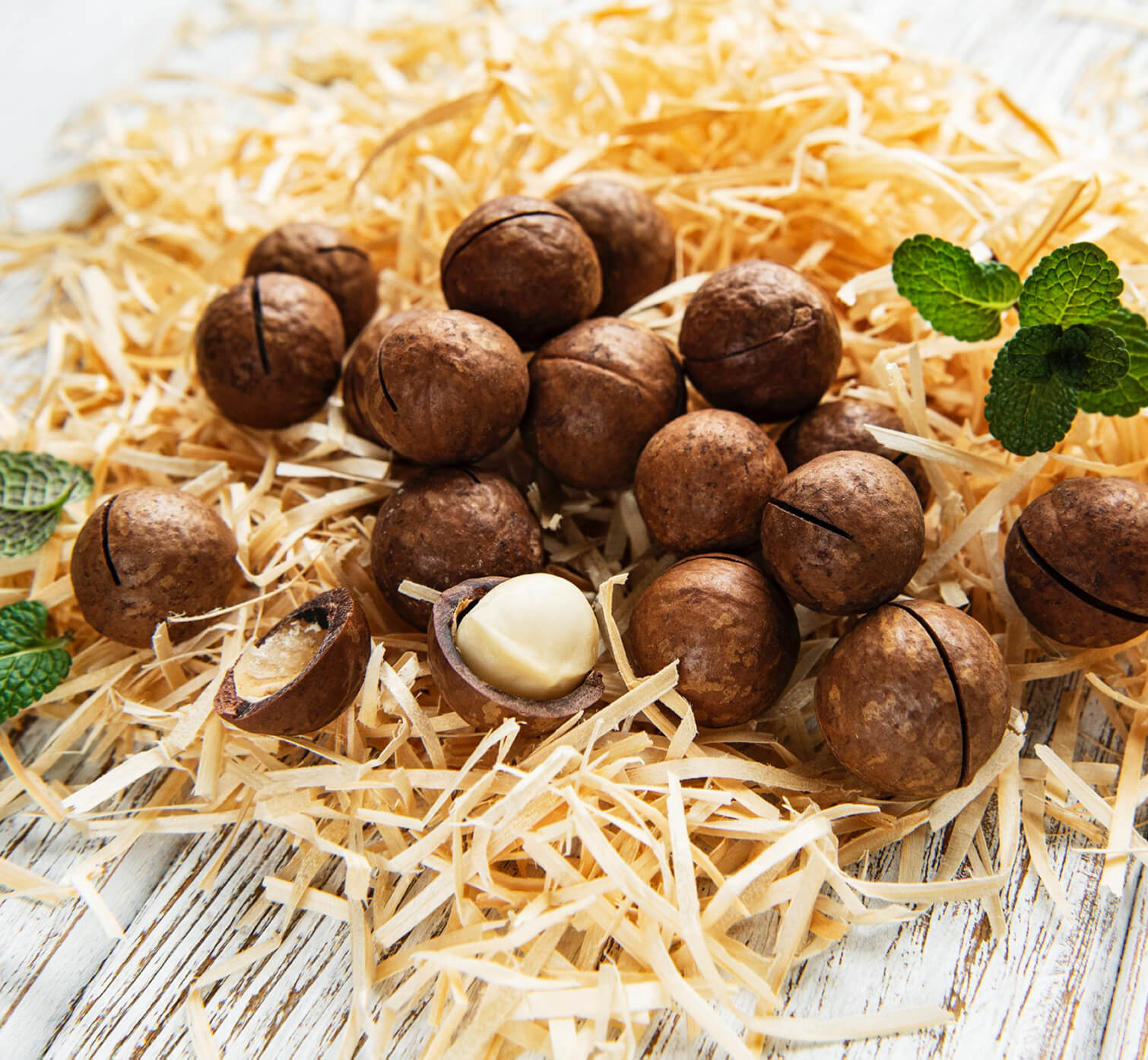 request Macadamia Sales Market