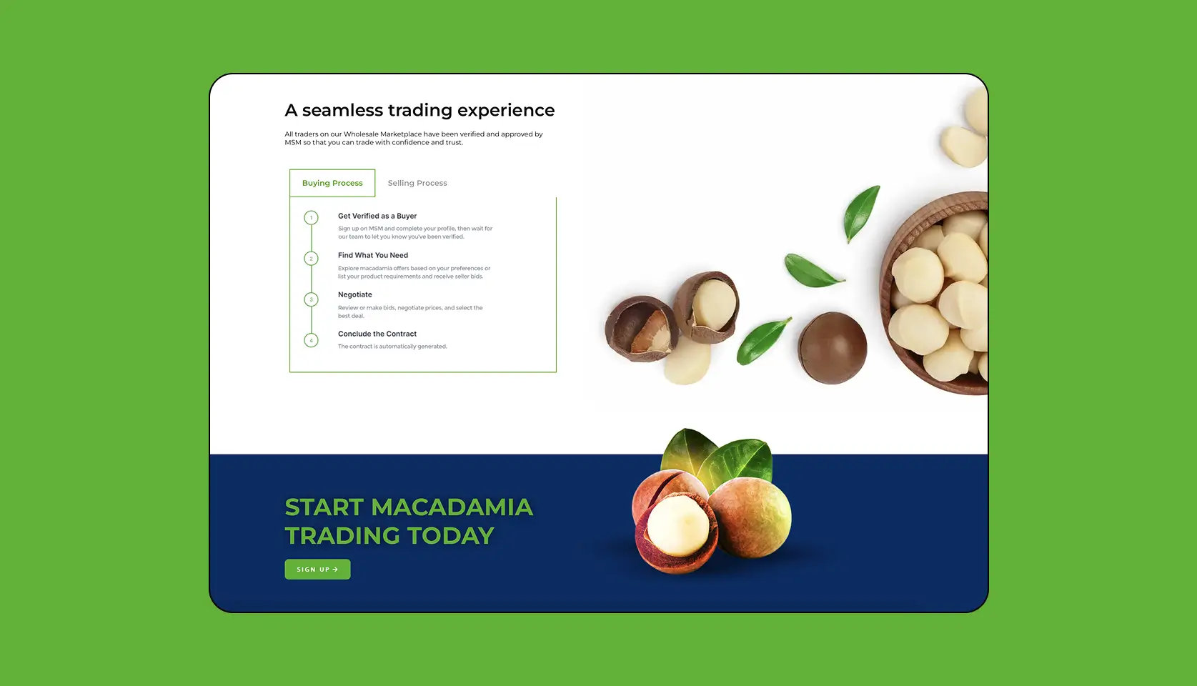 Macadamia Sales Market cover