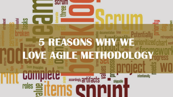 5 Reasons Why We Love Agile
