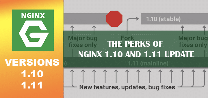 nginx update